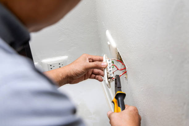 Best Electrical System Inspection  in Wamac, IL